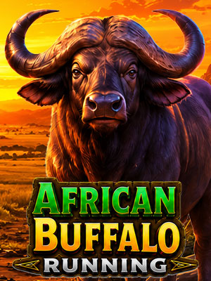 African Buffalo Running